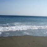 5月9日三浦海岸sea283848