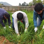 耕作放棄地で汗を流すファミリーマート社員