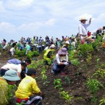 kuukouminami_park_120526_012
