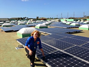 wallmart solar-expansion-in-hawaii