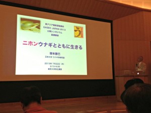 「ウナギは食料の前に野生生物」、研究者らが過剰消費に警鐘