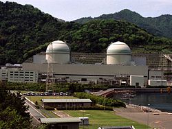 大飯原発3、4号機 (Wikimedia Commons.)