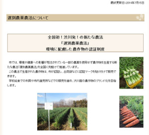 ※渋川市のウェブサイトから引用