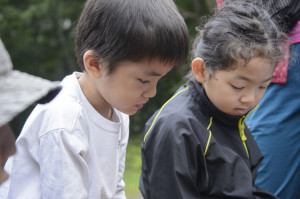 「虫会議」で真剣な表情を見せる子どもたち
