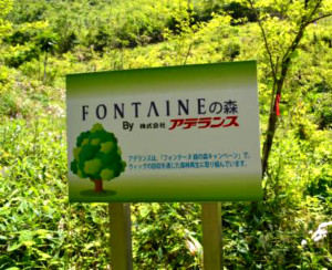 キャンペーンを通じて植林されたフォンテーヌ緑の森(一部)