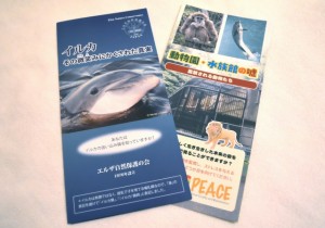 イルカ保護を訴えるパンフレット。主催グループ所属の「エルザ自然保護の会」、「PEACE」が制作した