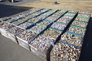 回収されたテープの紙製巻き芯の一部（ニチバン提供）
