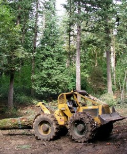 米国オレゴン州のFSC認証を受けた森 (C)Sam Beebe「Stumpo & skidder 」