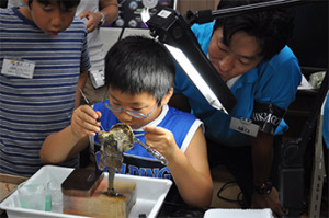 [CSR] ミキモト「真珠養殖体験で海を学ぼう」