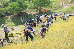 里山支援で企業とＮＰＯの協働が加速ー無印・トヨタ