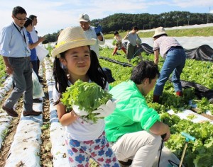ワタミが長野県の自社有機レタス農園に見学ツアー