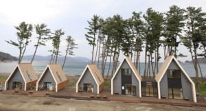 「良樹細根・大樹深根」のCSRをイノベーションの磁場へ