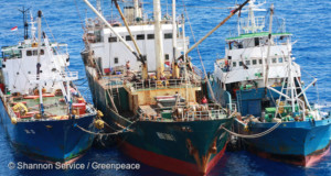 ペットフード大手、違法捕獲の魚の原料使用を中止