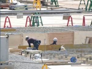 新国立競技場工事で違法木材使用か、NGOが調査要請