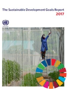 国連、最新のSDGs報告書を発表――加速化が必要