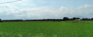 北の大地のクロス・バリューチェーン(下)