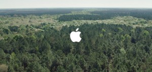 アップルやモンデリーズ、持続可能な包装材開発で前進 (2)
