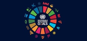 SDGs活用のための新たな指南書が登場