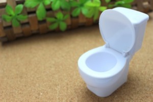 TOTO、中国の水資保全などに今後5年で1億円を寄付