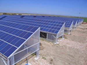 もう一つの営農型太陽光、ソーラーシェイディング
