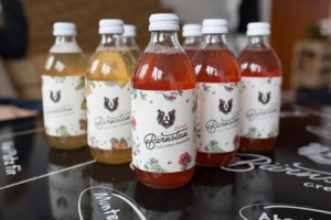 緑のコーヒー豆飲料、若手起業家が開発