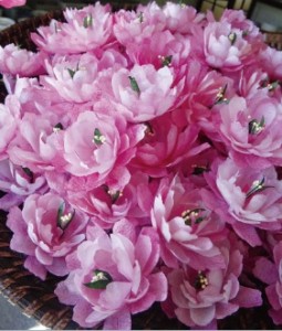 手づくりにこだわり 塩釜の桜で地域活性化