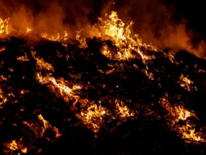 北極圏の火災、１カ月で北欧１国の１年分のCO2排出