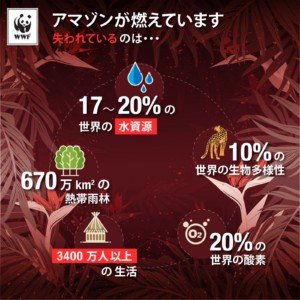 「アマゾン火災は世界の2割の水失う」NGOが訴え