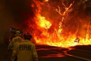 オーストラリアの森林火災は「対岸の火事」なのか？