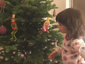 生木の「クリスマスツリー」はサステナブルか否か