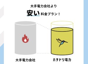 ハチドリ電力、固定価格の自然エネ 大手より安価