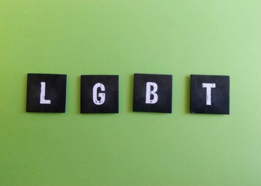 Lgbt差別禁止法 求め Ngoが署名活動 オルタナ Lgbt差別禁止法 求め Ngoが署名活動 オルタナ