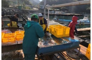 環境省がガイド作成、「ESG地域金融」とは