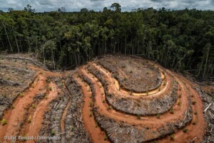 生物多様性、再び脚光の年