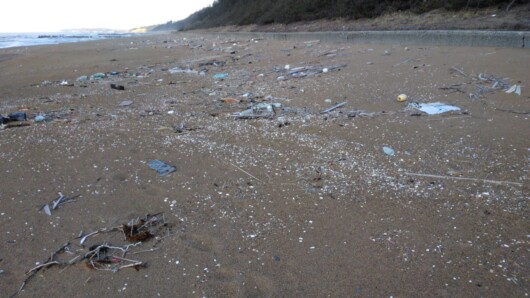 プラスチックごみで汚された海岸