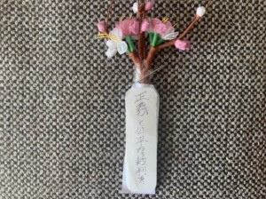旧優生保護法裁判、国に上告断念求め学生が署名活動