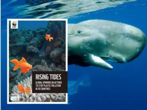4月からプラ新法、「関心は日本が最下位」とWWF