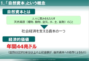 経済価値は世界のGDPの半分以上「自然資本」とは