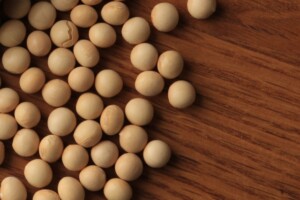 不二製油、植物性食品事業で売上高1000億円狙う