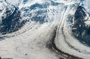 COP27:オフセット頼みの脱炭素にグリーンウォッシュの懸念