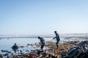 日本初の「海底ダイヤ」販売へ、環境破壊や強制労働を排除