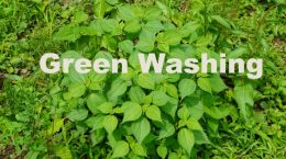 「当社はサステナブル」は通用しない: 環境省が新ガイドライン