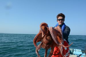 漁獲量を減らして利益を上げる、持続可能なミズダコ漁とは