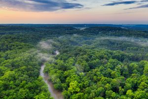 南米8カ国がアマゾン熱帯雨林保護で連携枠組み