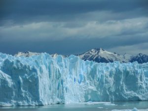 海水温が平年より3℃上昇、サバやニシンが減少の危機に