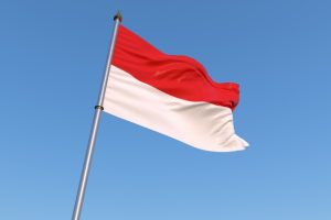 インドネシア新大統領の環境課題：石炭・パーム油・ニッケル