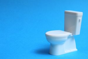 「世界のトイレ問題を解決したい」、中央大生が研究会を設立