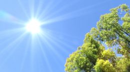 気候変動への取り組みも「人権」の視点から