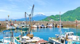 日本の漁獲量は2％減の383万トン、海水温上昇が影響：「水産白書」