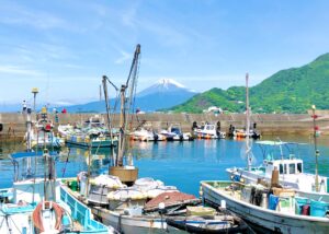 日本の漁獲量は2％減の383万トン、海水温上昇が影響：「水産白書」